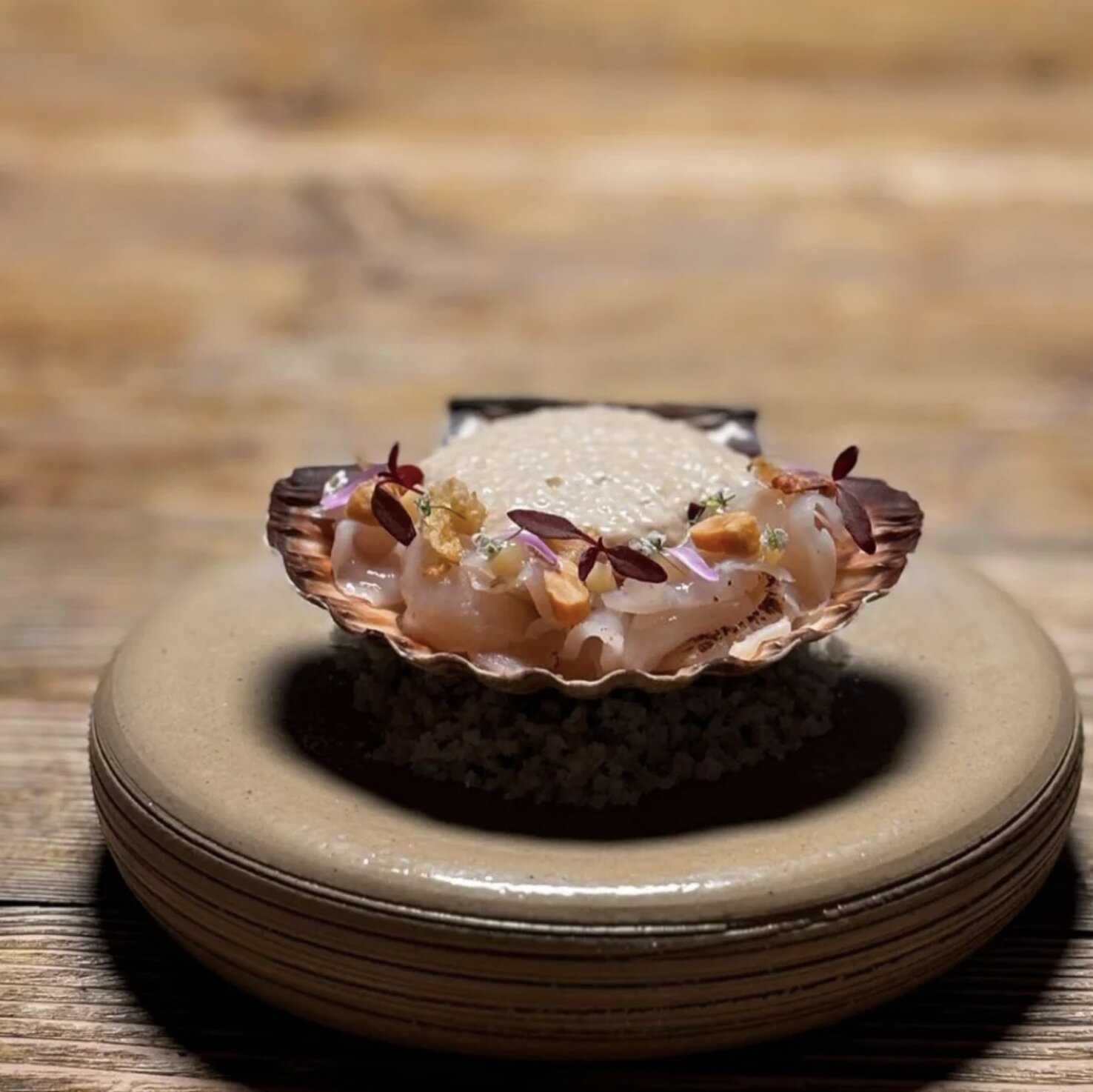 Assiette en grès dressée par un chef, coquille Saint-Jacques